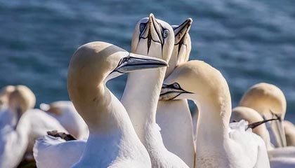 开云体育下载-两球取胜广西 国青中乙斩获两连胜积分榜升至第6