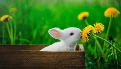 开云体育下载-过来人？球爹告诫儿子：NBA球员永远不会遇到好姑娘